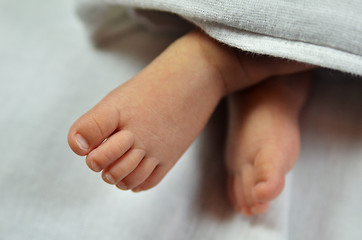 Image showing Cute baby feet