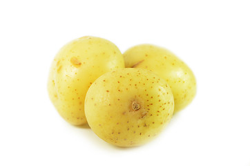 Image showing Three whole raw potatoes