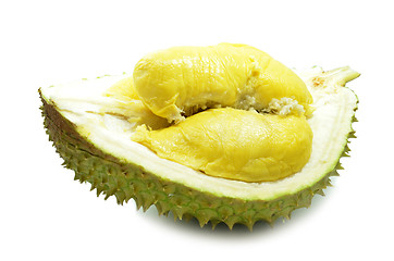 Image showing Durian fresh isolated