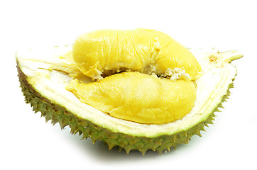 Image showing Durian fresh isolated