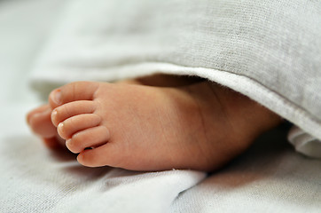 Image showing Cute baby feet