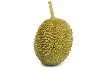 Image showing Fresh durian on isolate white background
