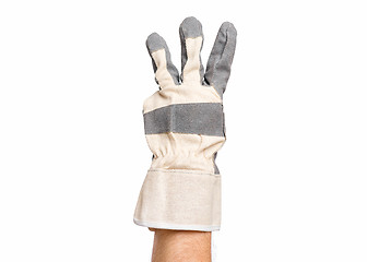 Image showing Male hand wearing working glove