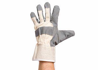 Image showing Male hand wearing working glove