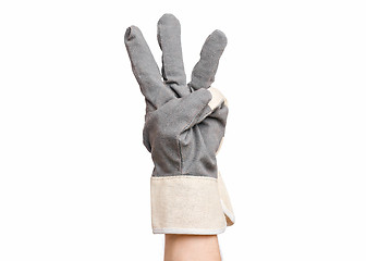 Image showing Male hand wearing working glove