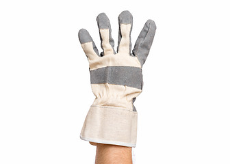 Image showing Male hand wearing working glove