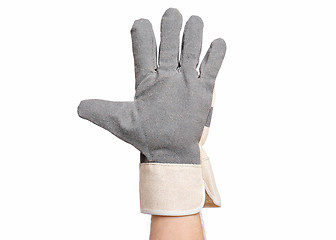 Image showing Male hand wearing working glove