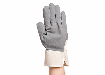 Image showing Male hand wearing working glove