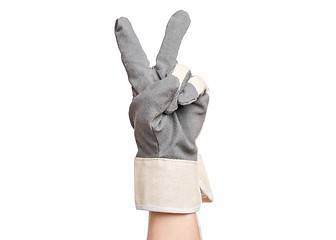 Image showing Male hand wearing working glove