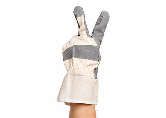 Image showing Male hand wearing working glove