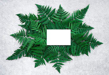 Image showing Blank card and dark green fern leaves on concrete surface