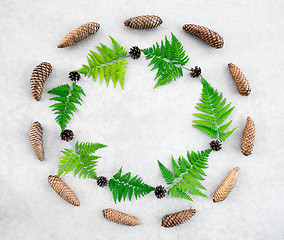 Image showing Round frame made of conifer cones and wild forest fern 