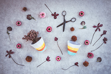 Image showing Flowers and flowerpots on dark concrete background