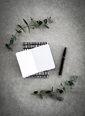 Image showing Blank notebook and eucalyptus on concrete background