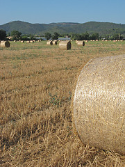 Image showing hayrolls