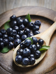 Image showing Blueberry