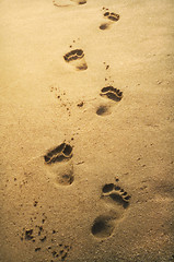 Image showing Footprints in the sand