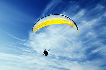 Image showing Paraglider