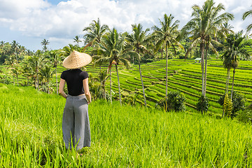 Image showing Relaxed fashionable caucasian female tourist wearing small backpack and traditional asian paddy hat looking at beautiful green rice fields and terraces on Bali island