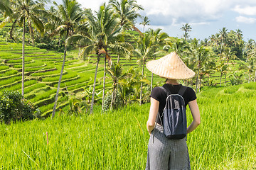 Image showing Relaxed fashionable caucasian female tourist wearing small backpack and traditional asian paddy hat looking at beautiful green rice fields and terraces on Bali island