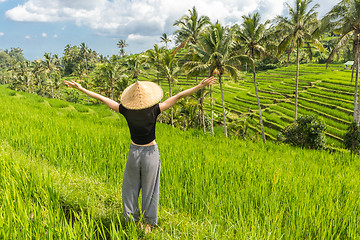 Image showing Relaxed fashionable female traveler wearing small backpack and traditional asian paddy hat, arms rised to sky, enjoying pure nature at beautiful green rice fields and terraces on Bali island