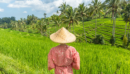 Image showing Relaxed fashionable caucasian woman wearing red asian style kimono and traditional asian paddy hat looking at beautiful green rice fields and terraces on Bali island