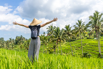 Image showing Relaxed fashionable female traveler wearing small backpack and traditional asian paddy hat, arms rised to sky, enjoying pure nature at beautiful green rice fields and terraces on Bali island