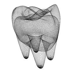 Image showing Mesh model of tooth. 3d illustration