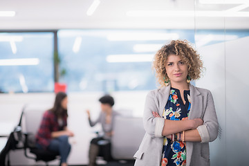 Image showing Portrait of successful female software developer