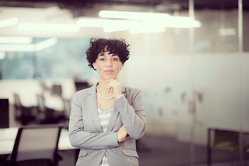 Image showing Portrait of successful female software developer