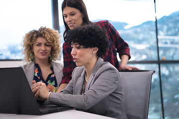 Image showing female software developers using laptop computer