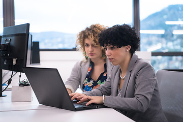 Image showing female software developers using laptop computer