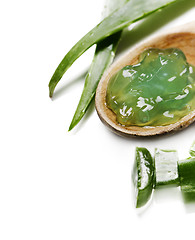 Image showing Aloe Vera Gel