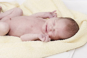 Image showing Baby
