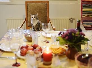 Image showing  cat sits in a chair behind the laid table