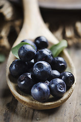 Image showing Blueberry