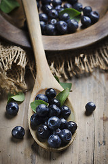 Image showing Blueberry