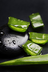 Image showing Aloe Vera