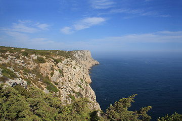 Image showing Coastline