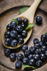 Image showing Blueberry