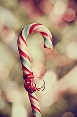 Image showing Candy Cane