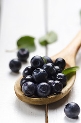 Image showing Blueberry