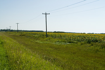 Image showing Prairie Ditch