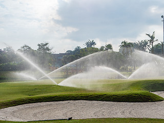 Image showing Irrigation of golf course