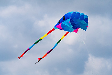 Image showing Colourful soft kite flying