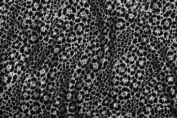 Image showing Silky black textile with silver animal skin print 