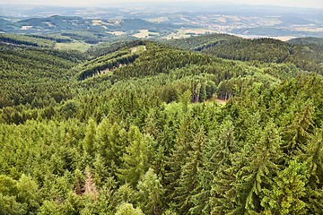 Image showing Forest Landscape in the Hills