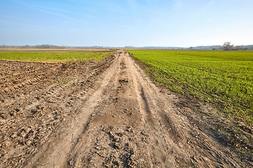 Image showing Agircutural field with dirt road