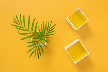 Image showing Palm leaves and decorative boxes on yellow background