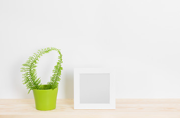 Image showing White picture frame and fern in green pot